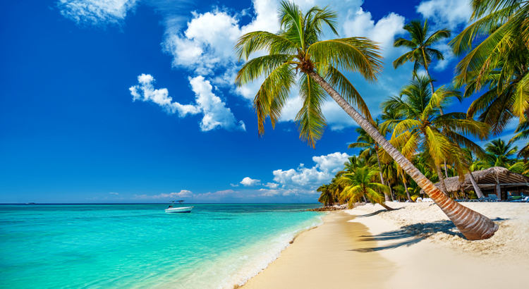 Dominikanische Republik Punta Cana Strand Foto iStock Valio84sl